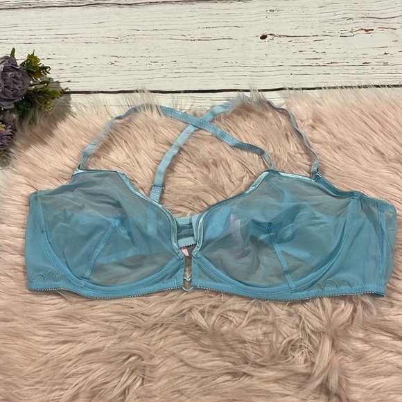 NWT Voight Sky Blue Mesh Sheer Heavenly Bra - Picture 1 of 8